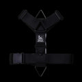 BESTIA DOG SPORT GripPro Basic Harness BESTIA DOG SPORT