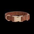 PAWSOME DOG COLLAR - #2 Pawsomepetsnewyork