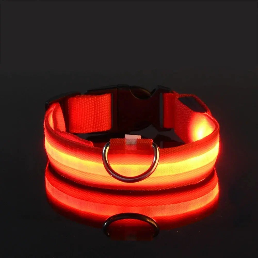 Nylon LED Night Safety Flashing Glow In The Dark Dog Leash Dogs Luminous Fluorescent Pet Dog Collar Selvanelle