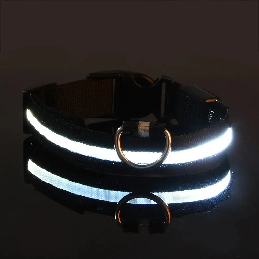 Nylon LED Night Safety Flashing Glow In The Dark Dog Leash Dogs Luminous Fluorescent Pet Dog Collar Selvanelle