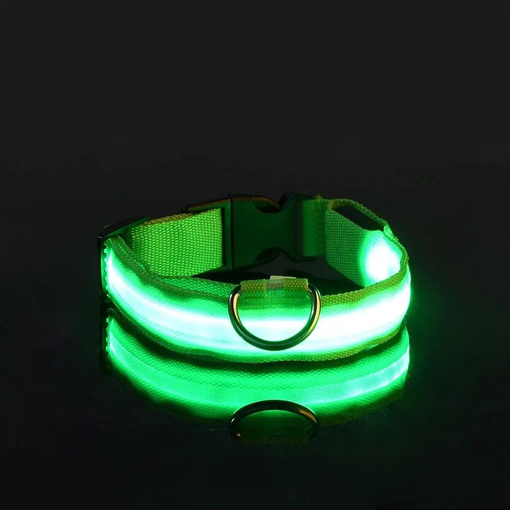 Nylon LED Night Safety Flashing Glow In The Dark Dog Leash Dogs Luminous Fluorescent Pet Dog Collar Selvanelle