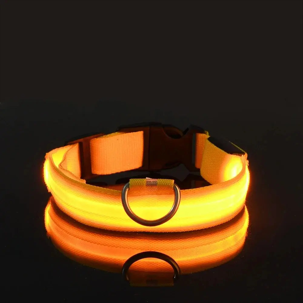 Nylon LED Night Safety Flashing Glow In The Dark Dog Leash Dogs Luminous Fluorescent Pet Dog Collar Selvanelle