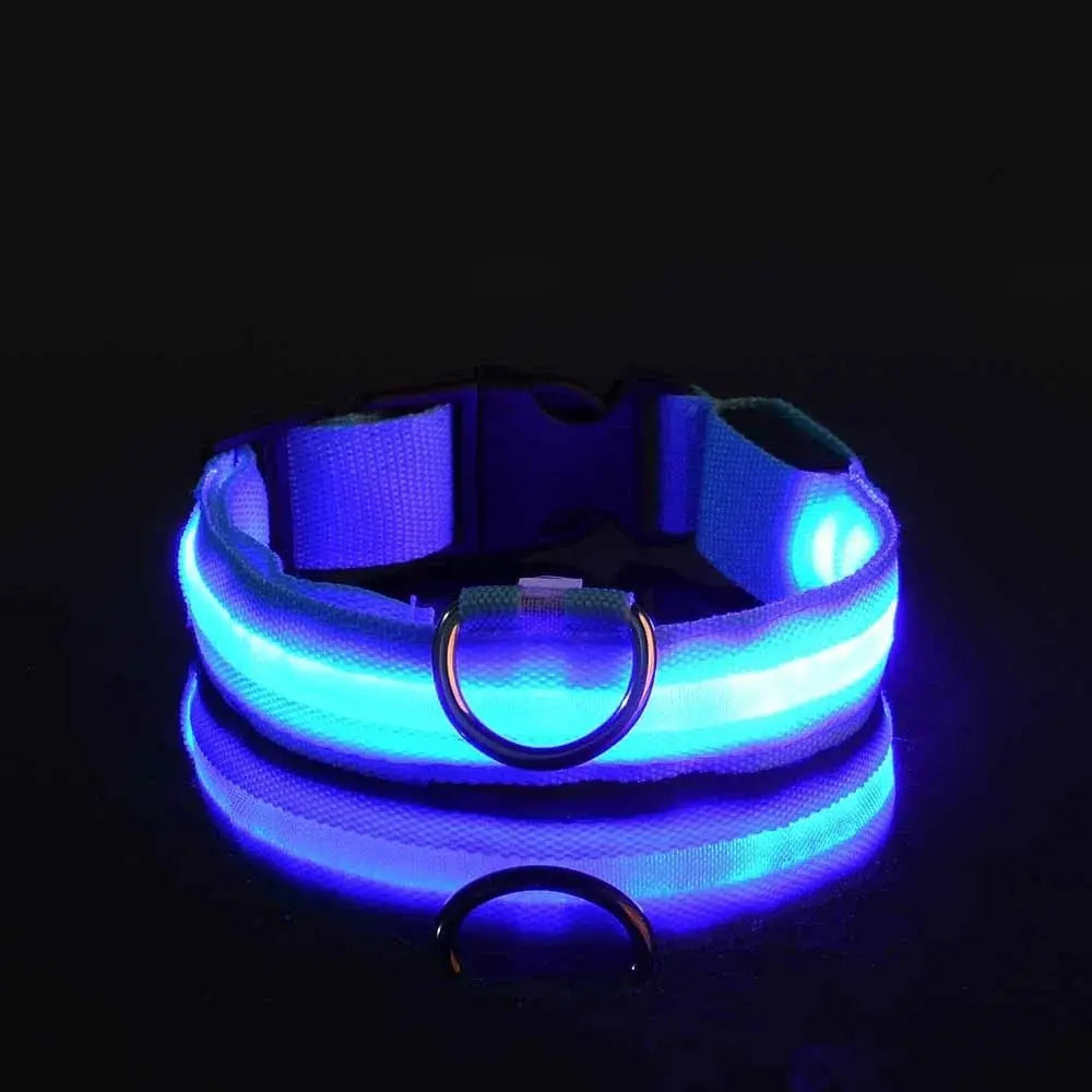 Nylon LED Night Safety Flashing Glow In The Dark Dog Leash Dogs Luminous Fluorescent Pet Dog Collar Selvanelle
