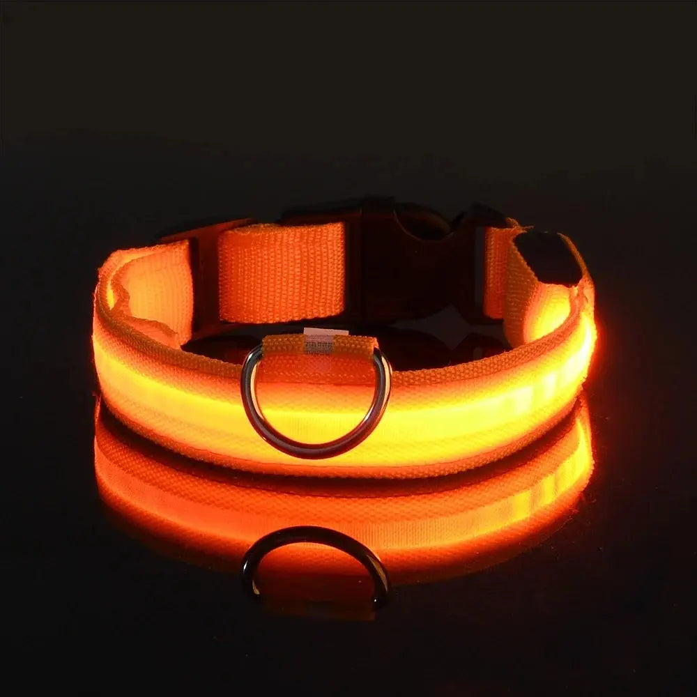 Nylon LED Night Safety Flashing Glow In The Dark Dog Leash Dogs Luminous Fluorescent Pet Dog Collar Selvanelle