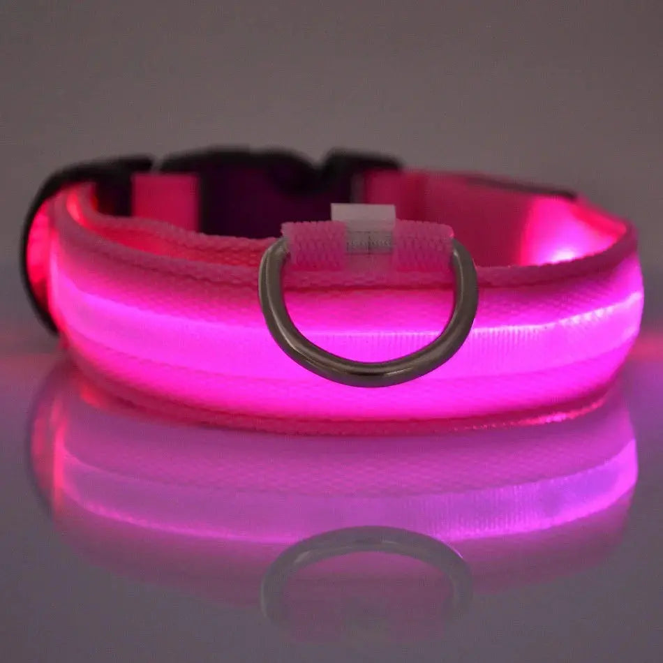 Nylon LED Night Safety Flashing Glow In The Dark Dog Leash Dogs Luminous Fluorescent Pet Dog Collar Selvanelle