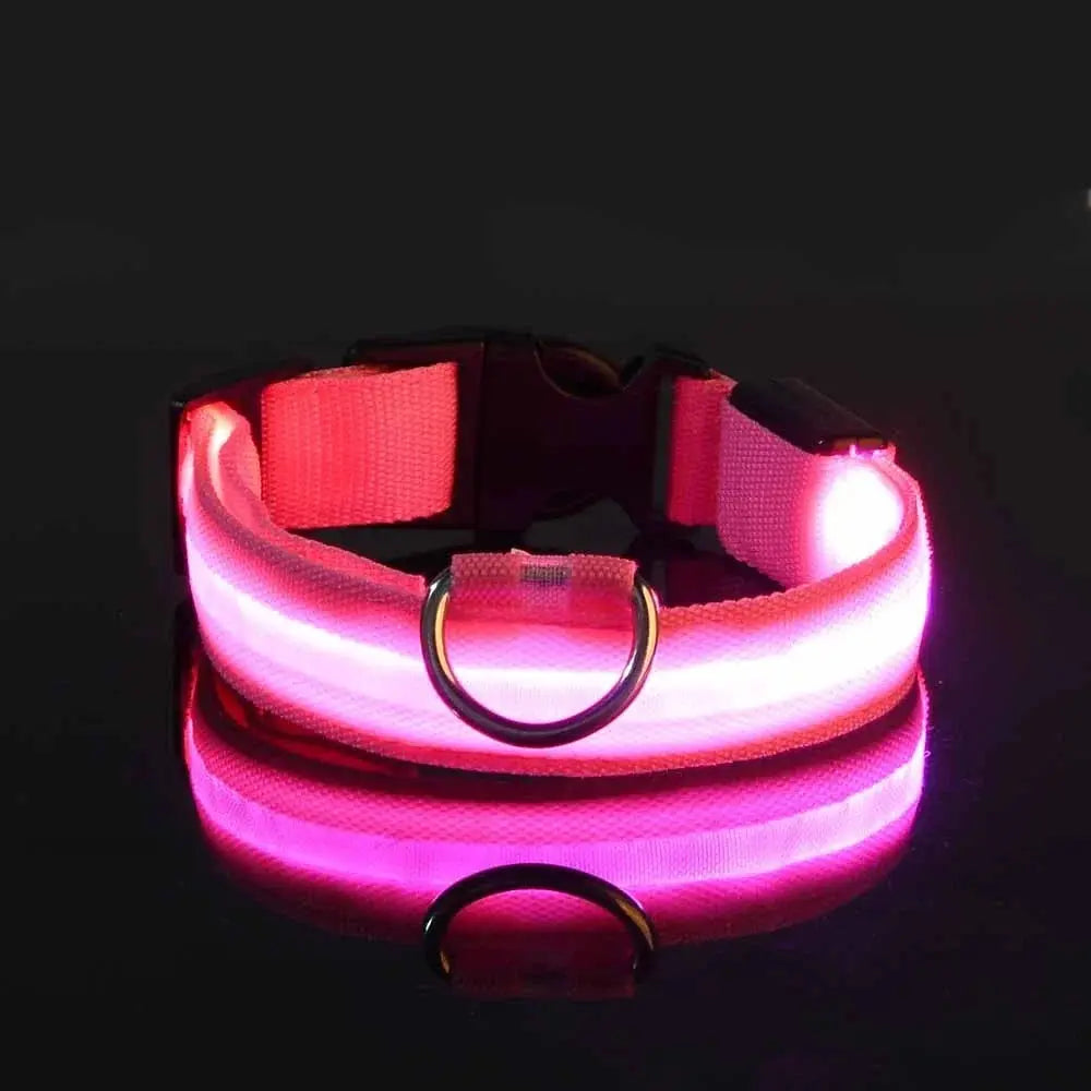 Nylon LED Night Safety Flashing Glow In The Dark Dog Leash Dogs Luminous Fluorescent Pet Dog Collar Selvanelle