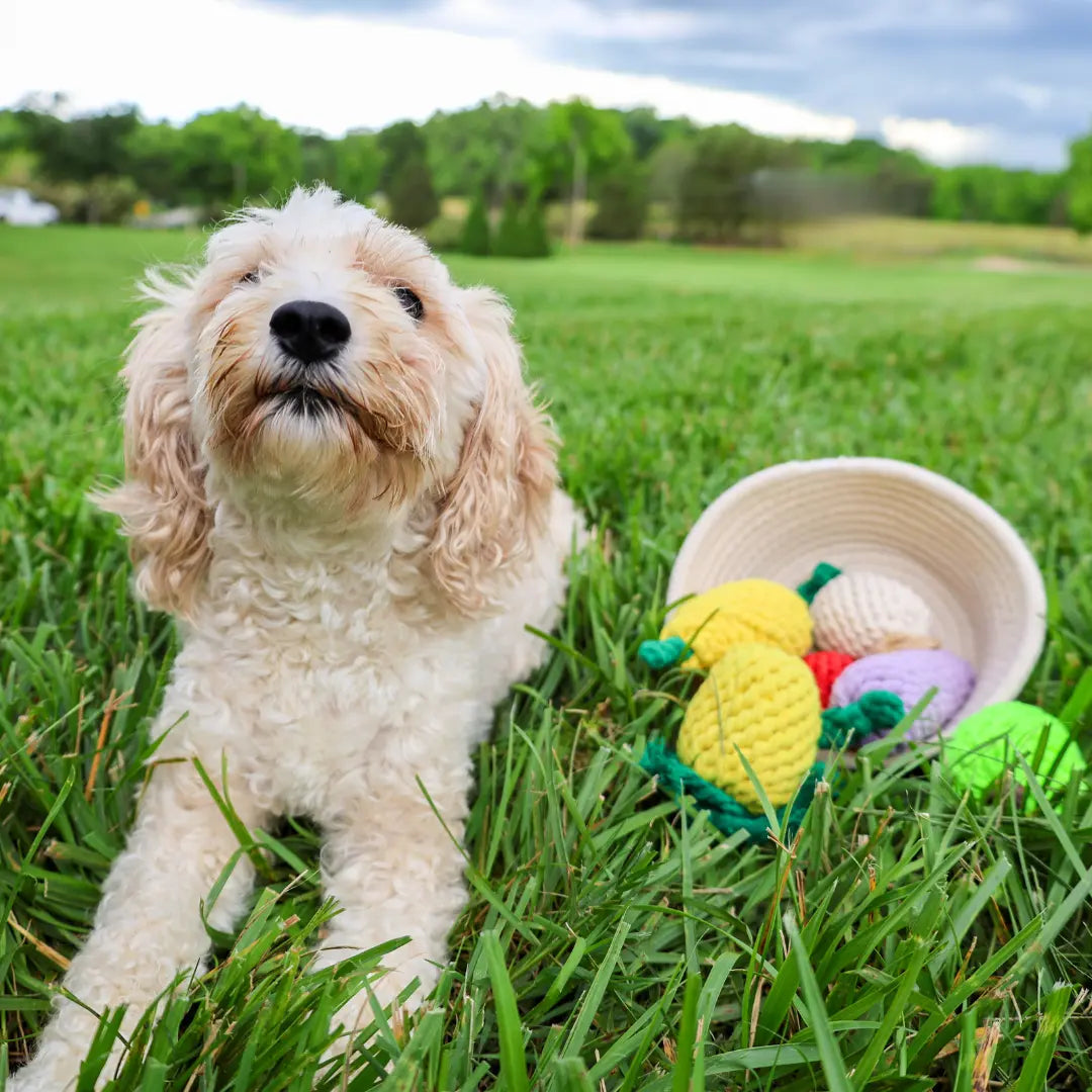 MarketVeg Rope Toys Monli