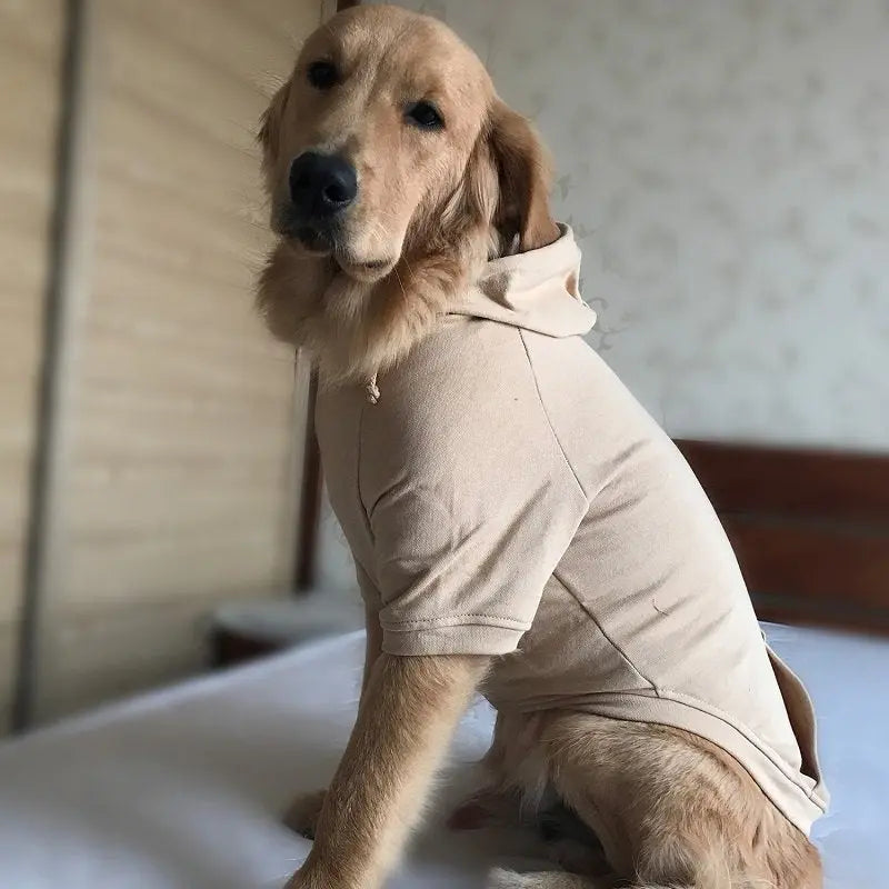 Sweatshirt Style Dog Hoodies Prince & Princess Petwear Wholesale