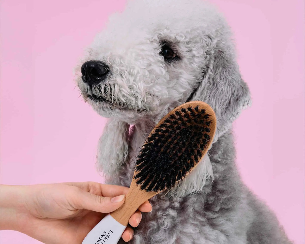 Fur Rituals Brush with Boar Bristles Every Dog Knows